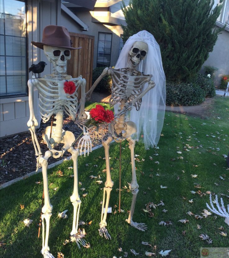 Hai vợ chồng skeleton trao lời thề cưới đầy hài hước và đáng yêu