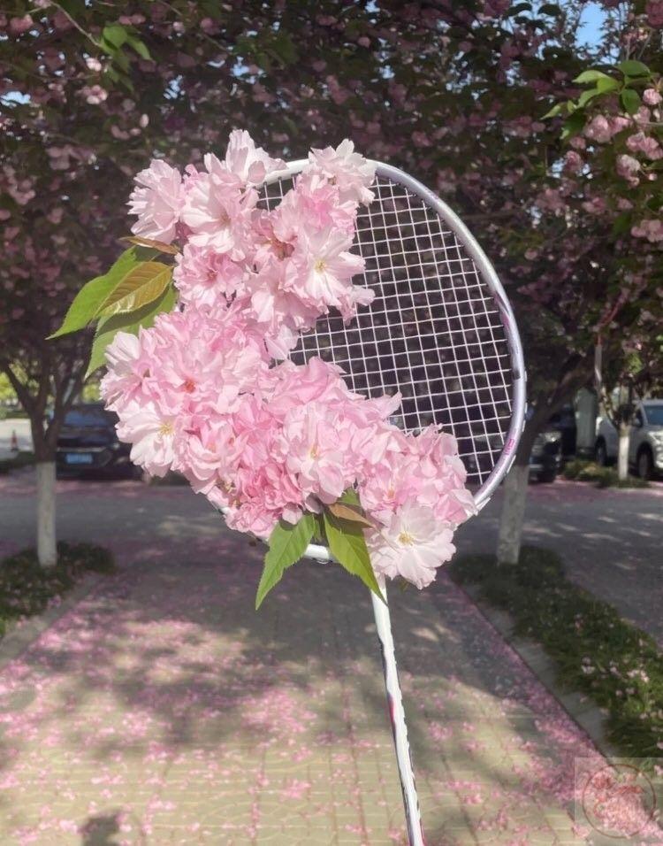 Niềm vui giản dị ùa về từ những khung hình chứa đựng sự yên bình