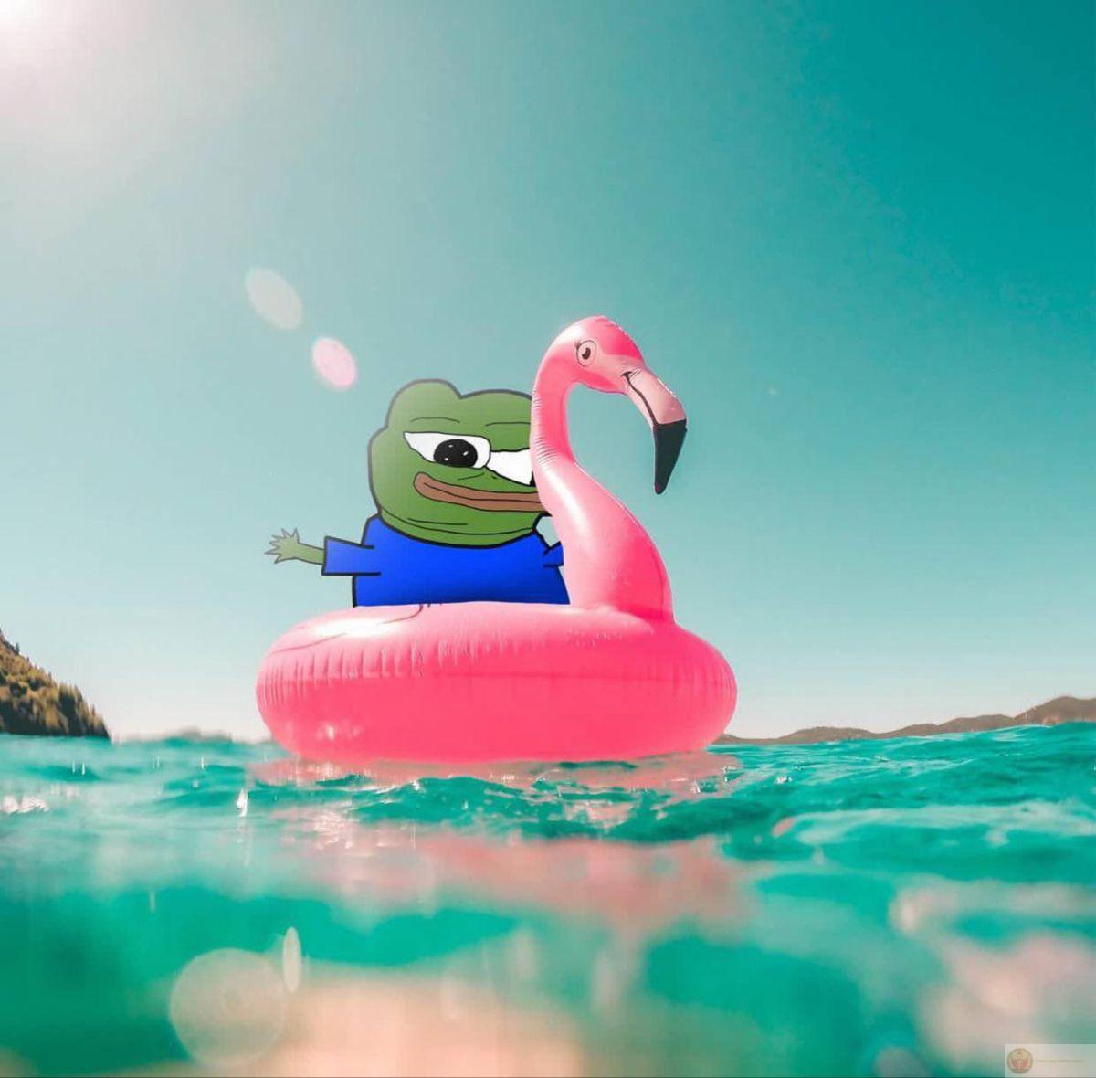 Con ếch xanh qua ảnh troll thường khiến bạn bè bật cười ngay lập tức