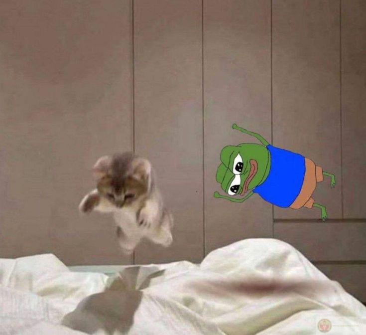 Pepe meme vẫn giữ được sức hút mạnh mẽ trong cộng đồng ảnh chế