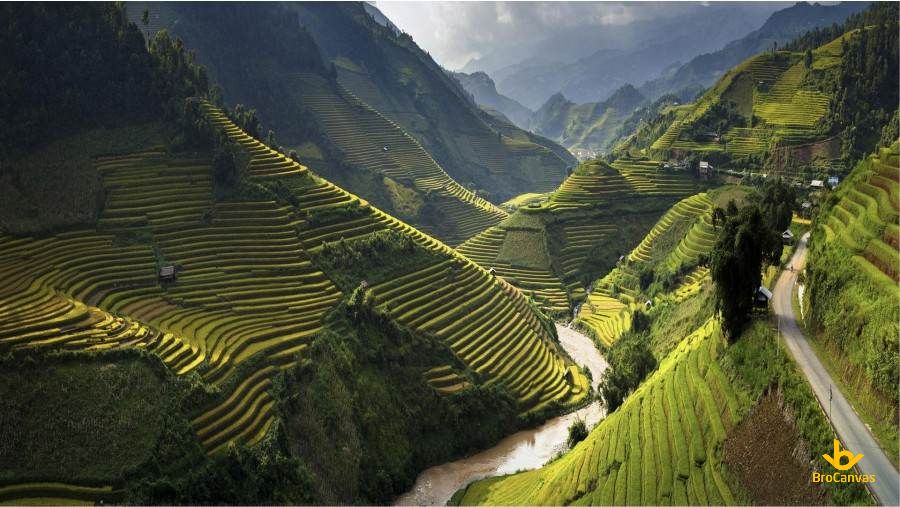 Hình ảnh Ruộng Bậc Thang Bên Sườn Núi