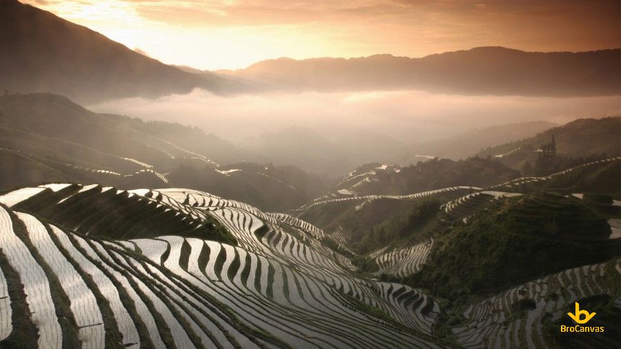 Ảnh Ruộng Bậc Thang Buổi Sớm Mai