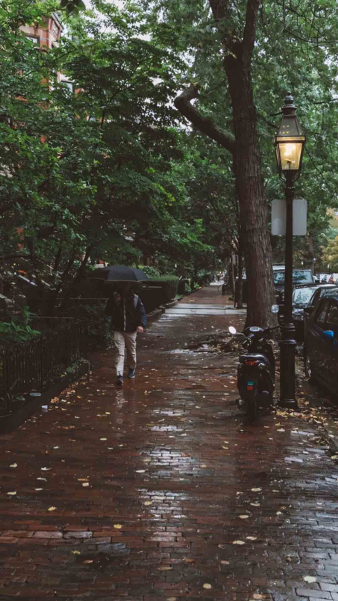 anh mua dep lang man 1920px 1080px full hd 1