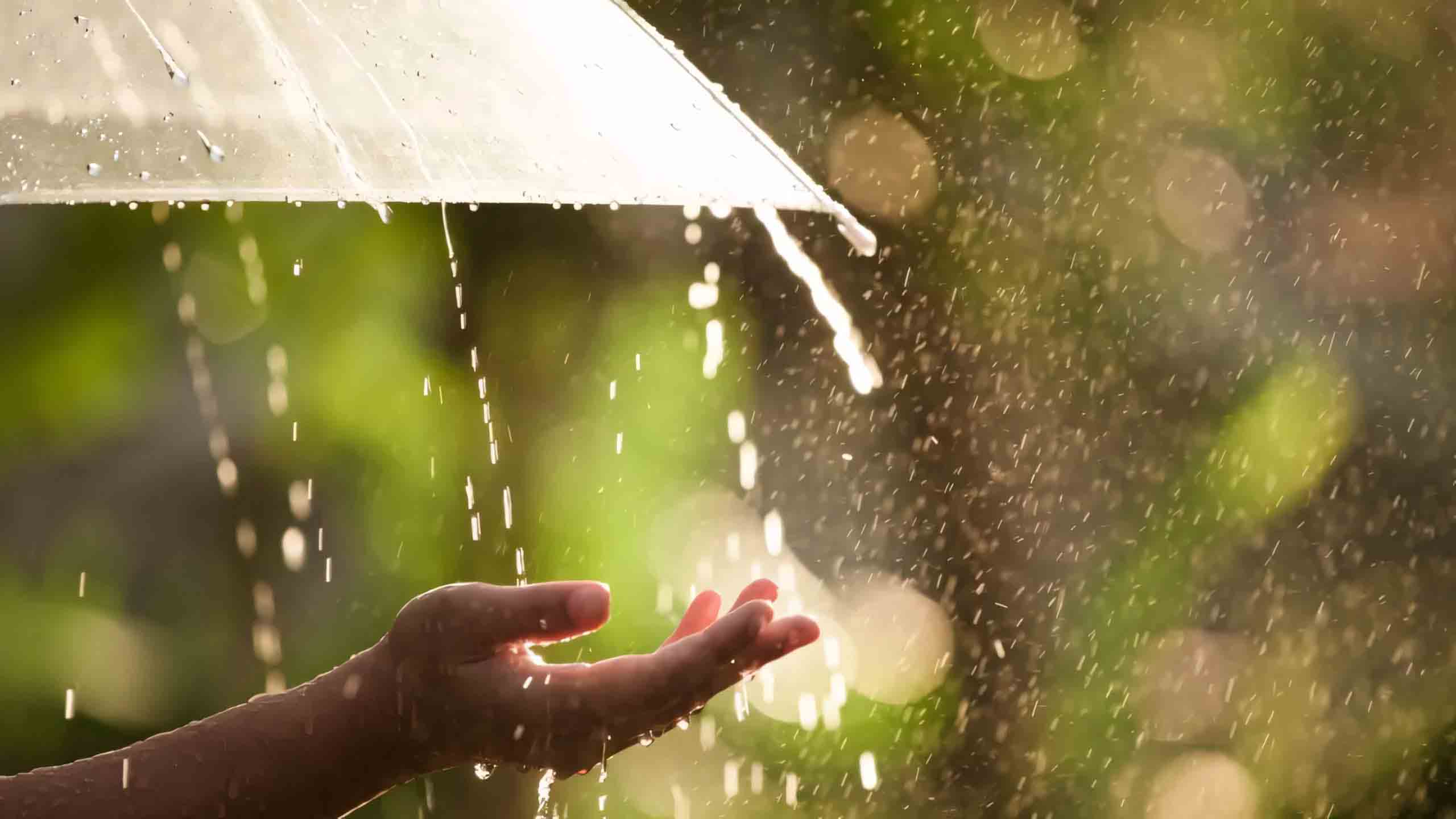 hinh nen may tinh mua dep lang man 2560px 1440px 2k 1