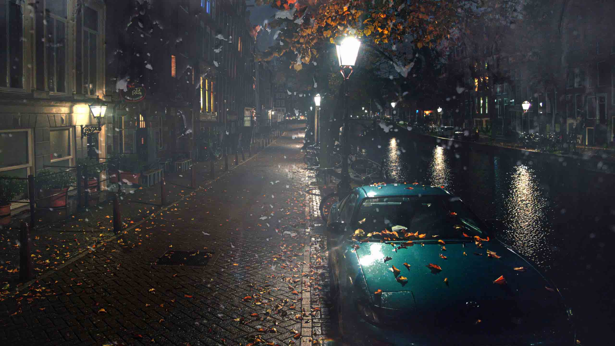 hinh nen may tinh mua dep lang man 2560px 1440px 2k 3