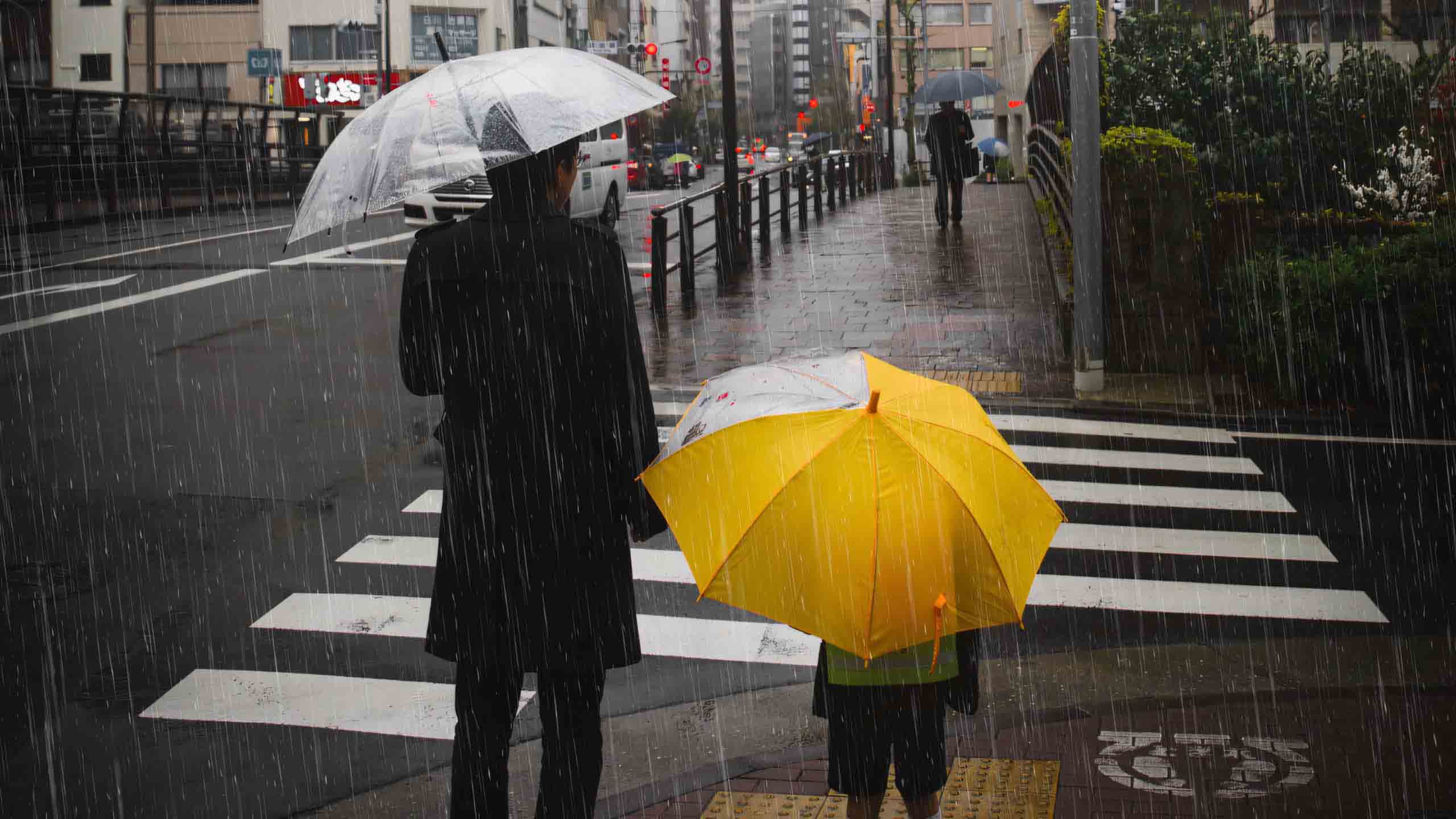 hinh nen may tinh mua dep lang man 2560px 1440px 2k 6