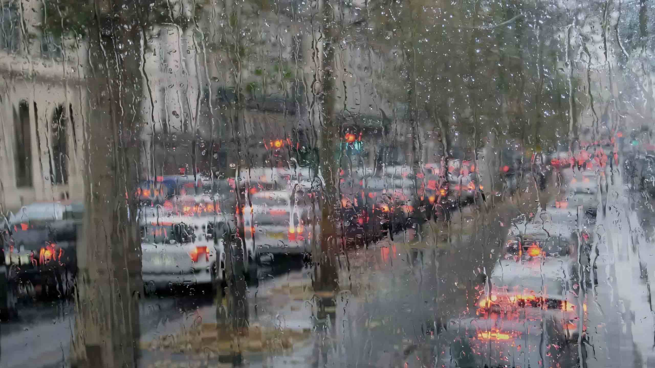 hinh nen may tinh mua dep lang man 2560px 1440px 2k 10