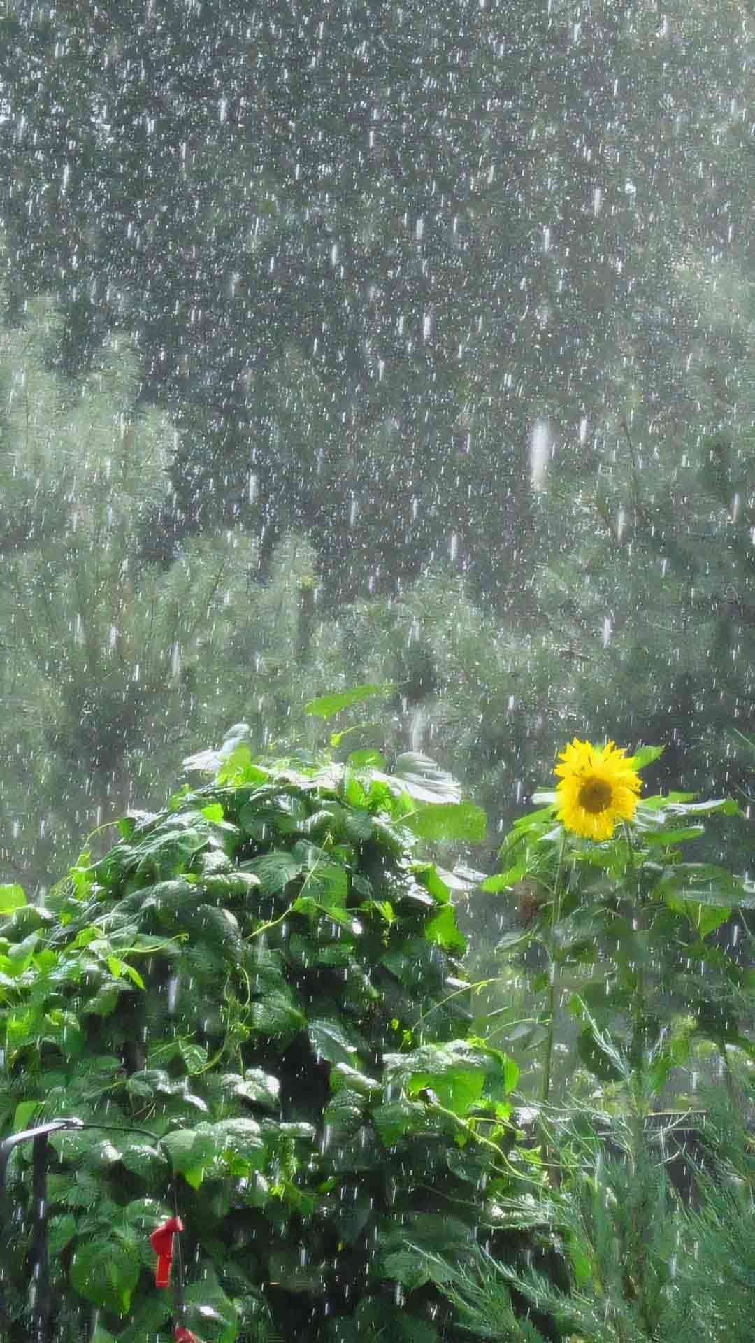 anh mua dep lang man 1920px 1080px full hd 7