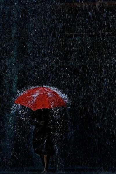 Hinh Ha Noi va nhung con mua