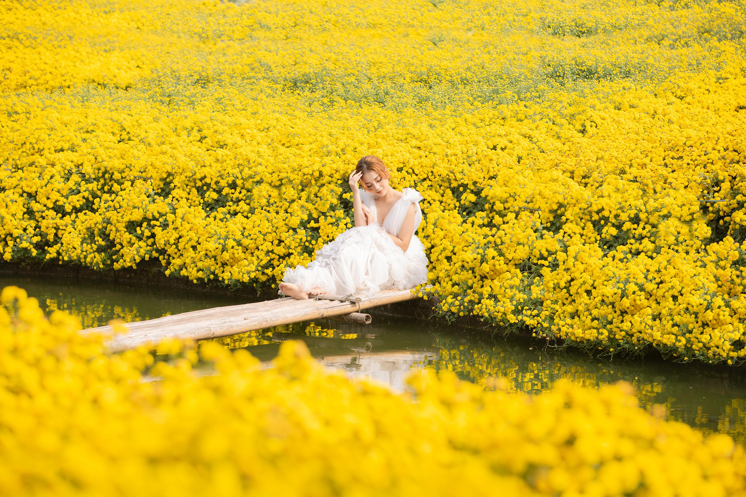 Thung lũng hoa Hồ Tây - địa điểm chụp ảnh mùa thu Hà Nội lý tưởng