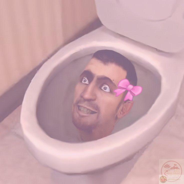Meme Skibidi toilet