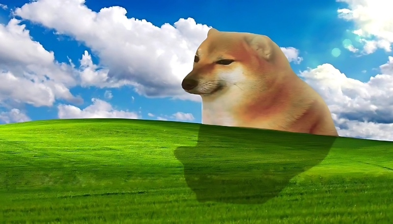 ảnh nền con chó dễ thương ngộ nghĩnh