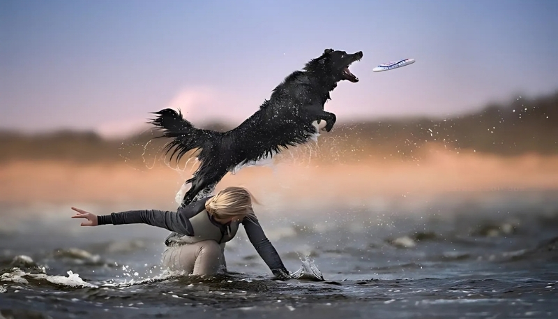 ảnh nền con chó cá tính vui tính