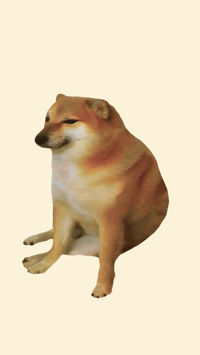 ảnh nền con chó meme ngầu lòi