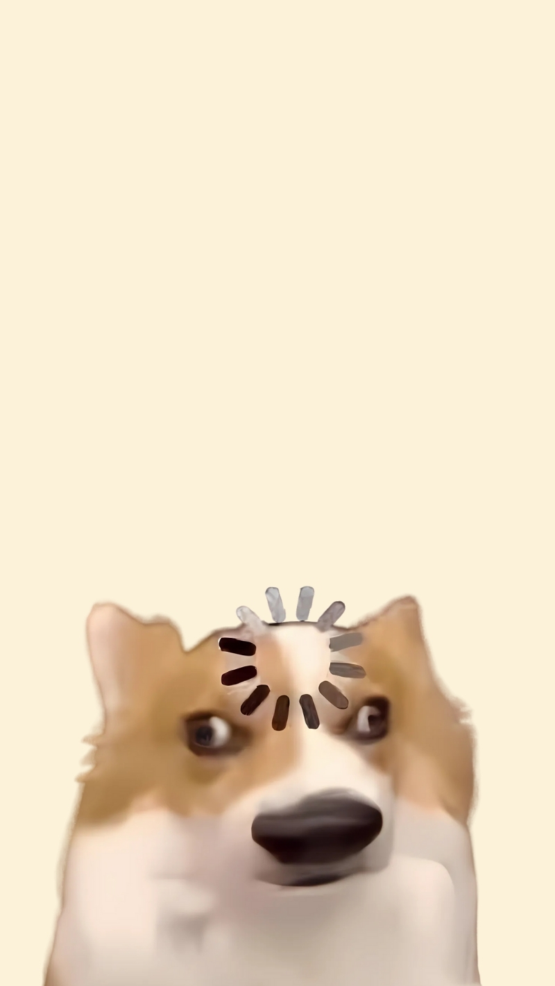 ảnh nền con chó meme vui vẻ