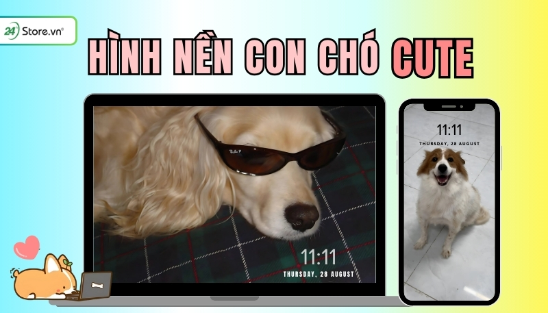 TOP 199+ Hình nền con chó DỄ THƯƠNG, cực đẹp, hài hước