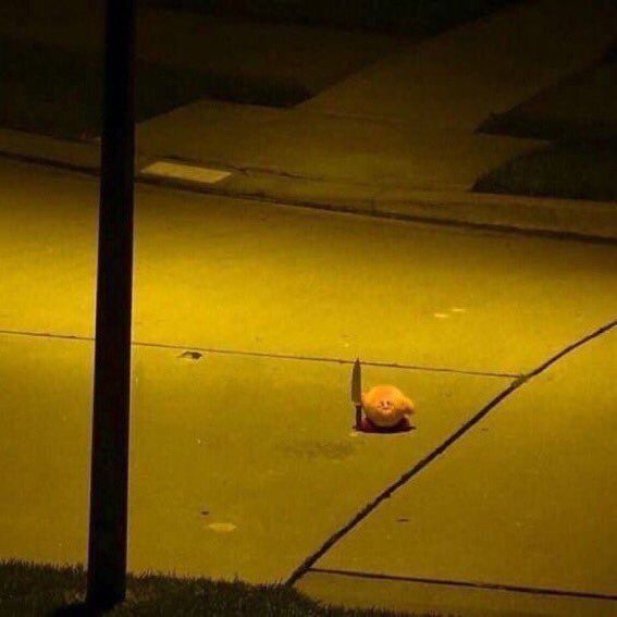 Mỗi lần tức giận là tìm dao cho vơi