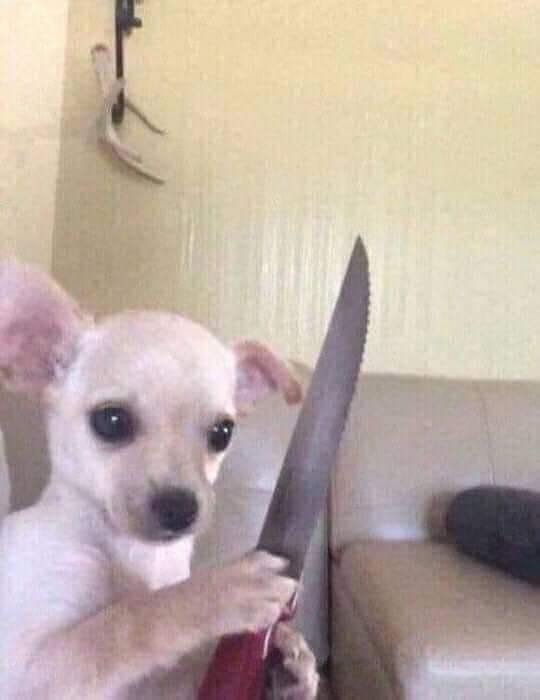 Yêu là phải giữ, giữ không được thì găm luôn