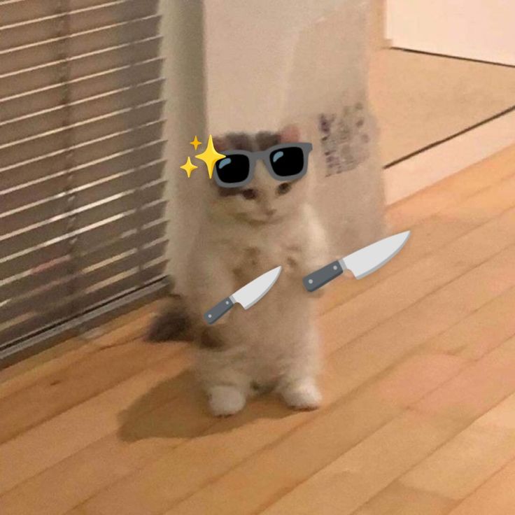 Anh không sai, nhưng anh cũng không đúng lắm