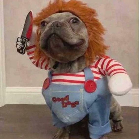 Cầm dao đi loanh quanh chờ anh nhắn lại