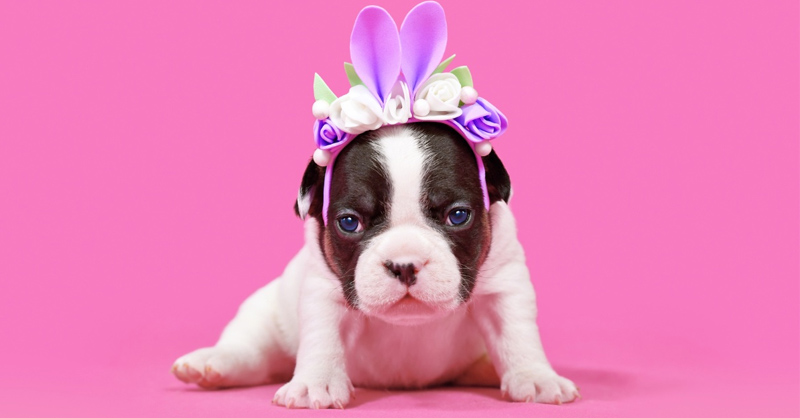 Hình nền cute màu hồng giúp không gian làm việc tươi sáng hơn