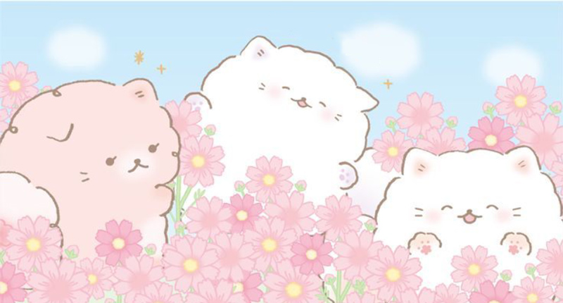 Hình nền cute màu hồng nâng cao hiệu quả làm việc