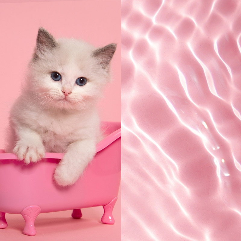 Hình nền cute màu hồng giúp khơi dậy cảm xúc tích cực 