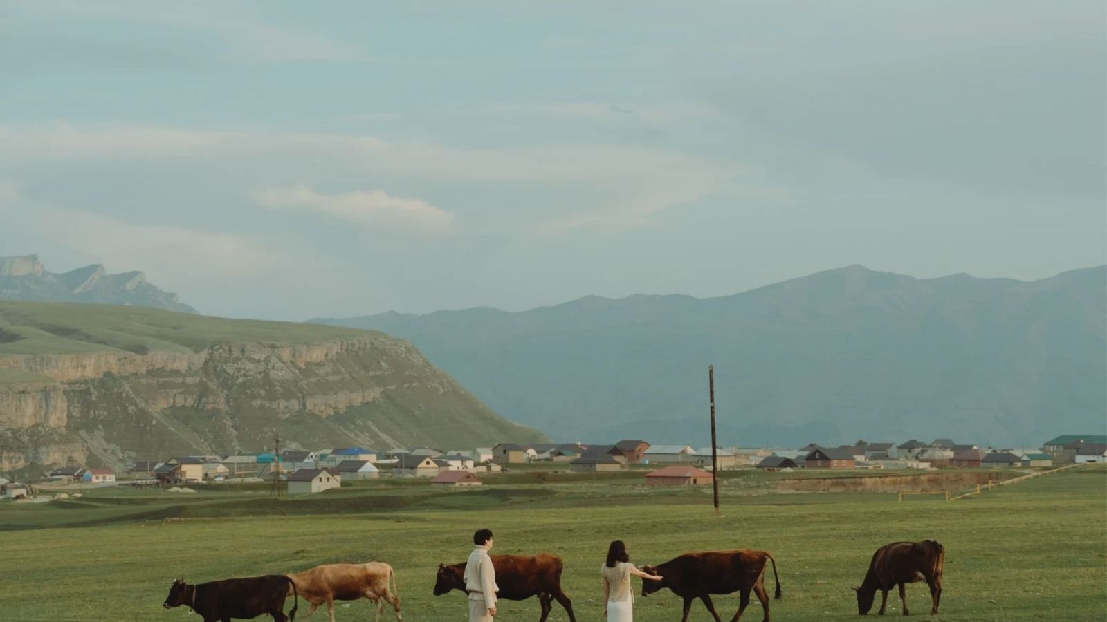 Hình nền chill môi trường tự nhiên