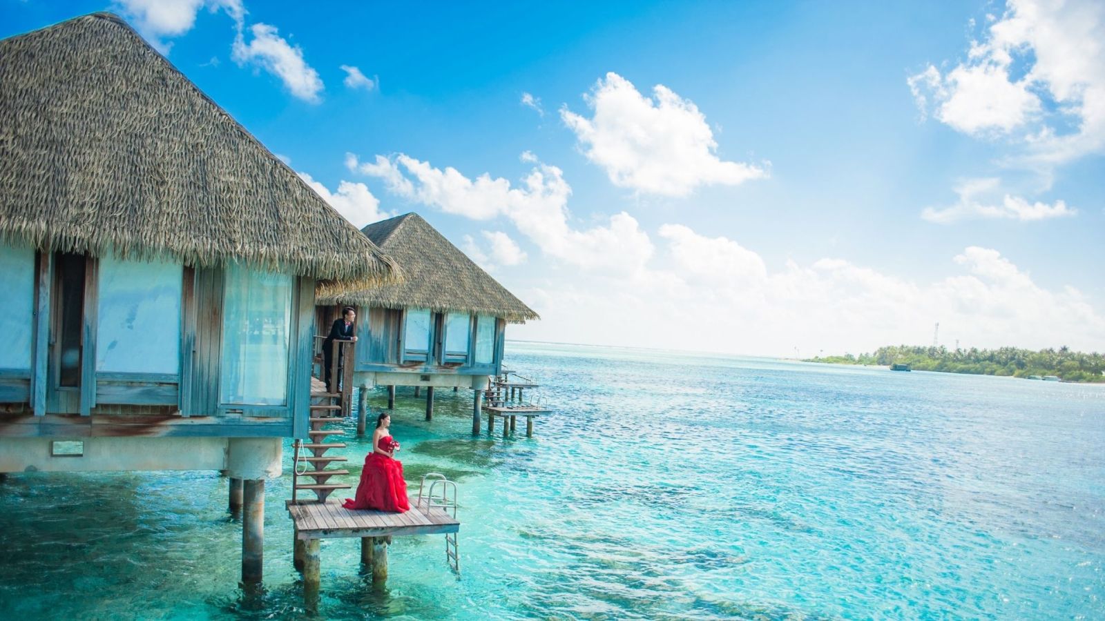 Nền chill mùa hè dịu mát