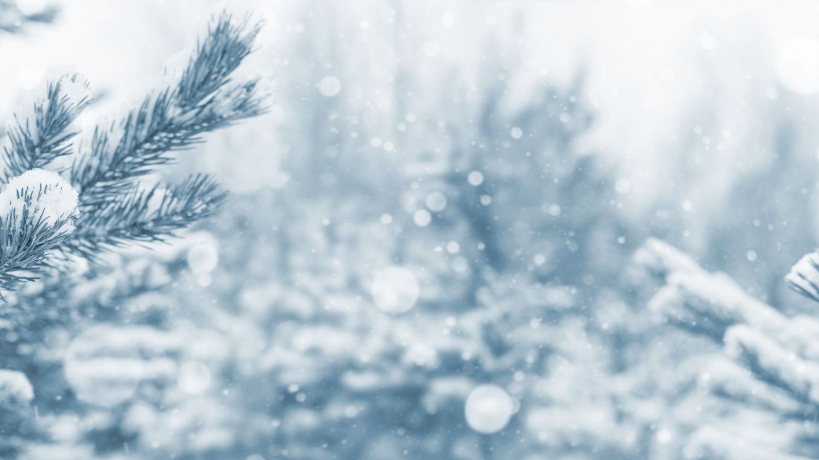 Nền chill mùa đông yên bình