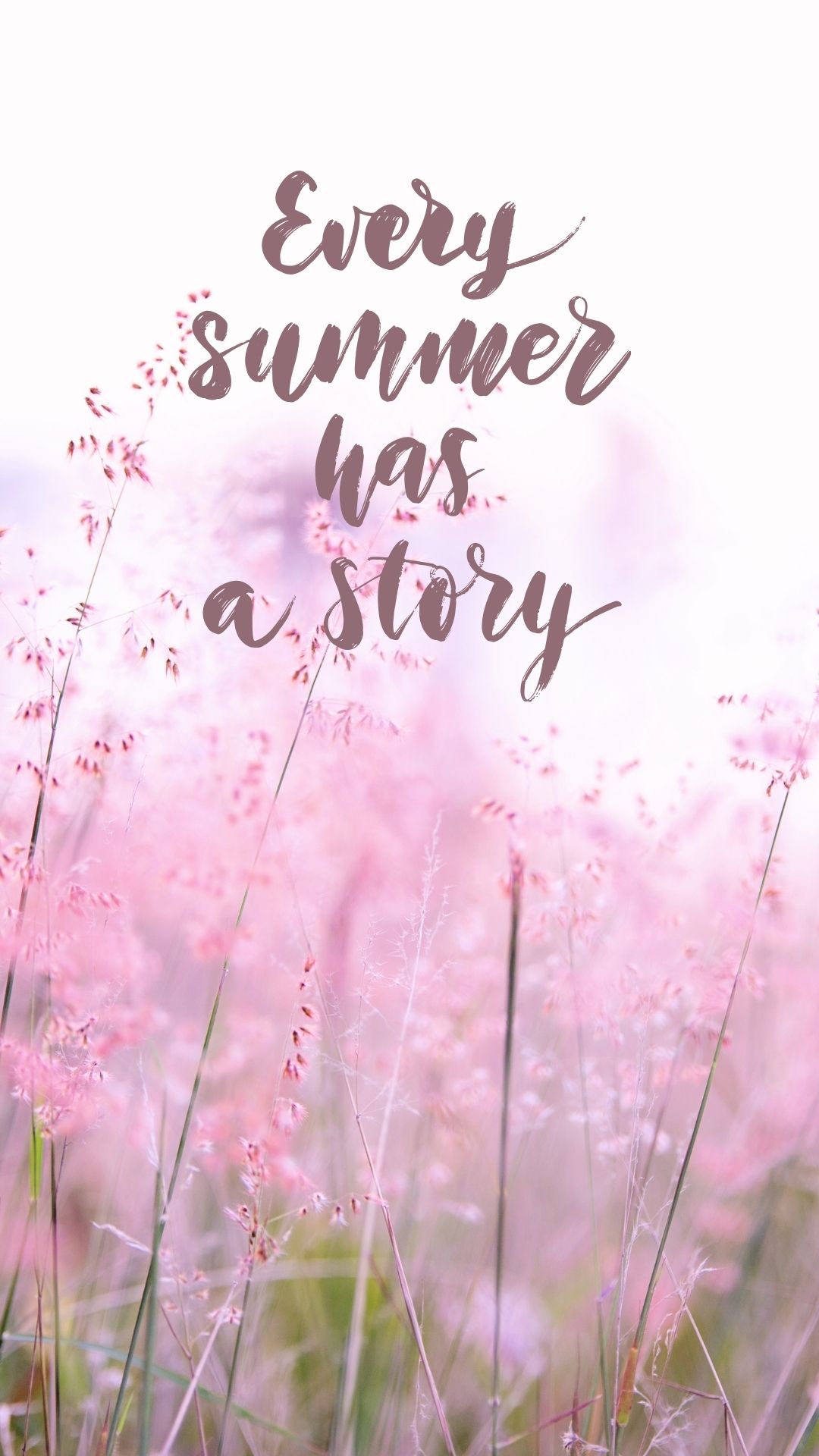 hình nền hoa cỏ lau