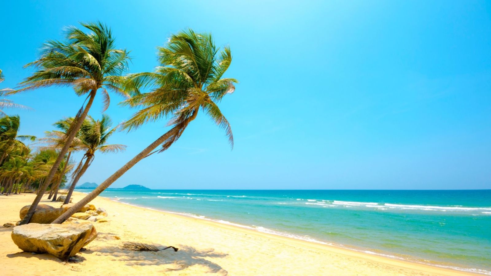 Nền chill du lịch hoang dã