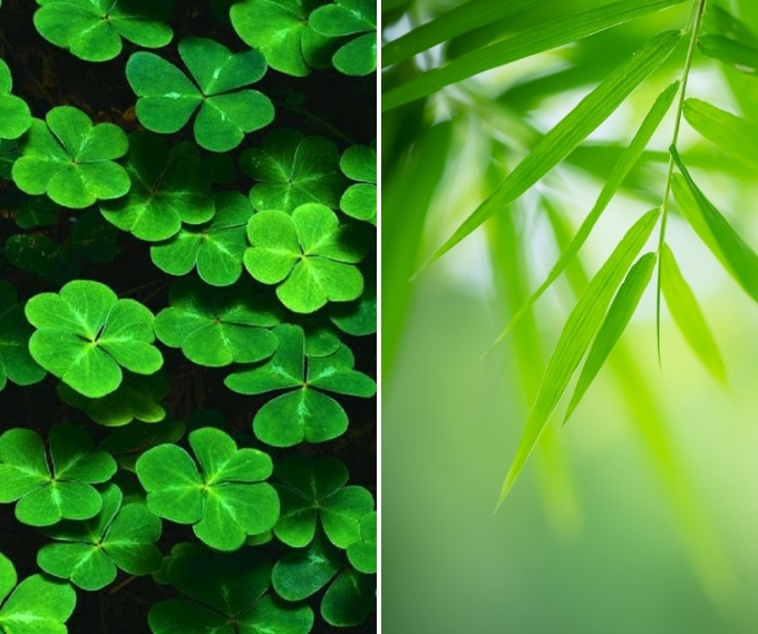 Hình nền tài lộc cho người mệnh Mộc đẹp nhất