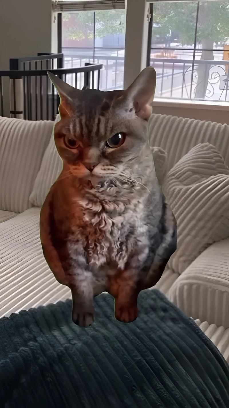 Bộ sưu tập hình nền hài hước cho điện thoại