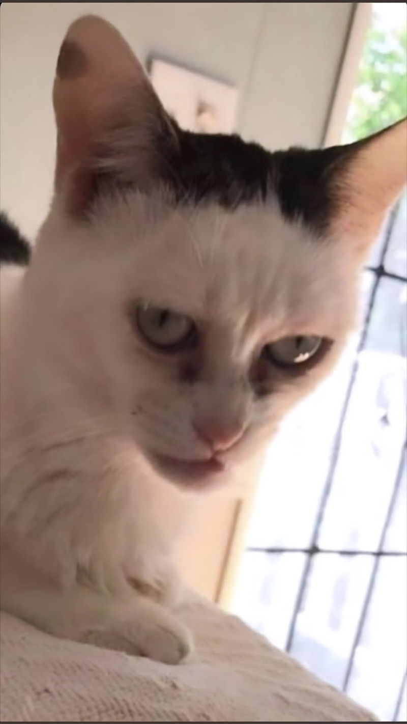 Hình nền vui vẻ cho điện thoại