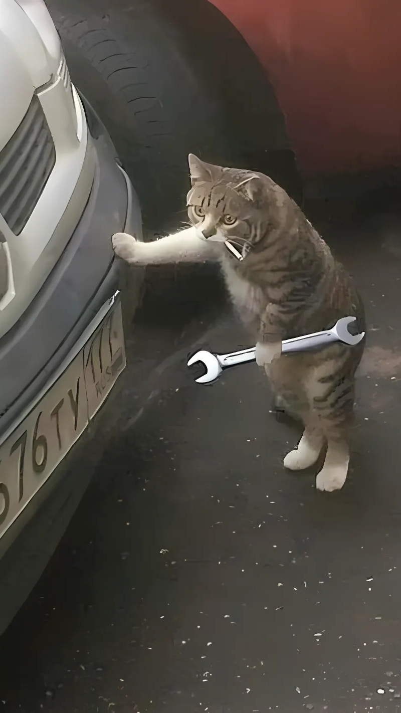 Hình nền hài hước siêu vui cho điện thoại