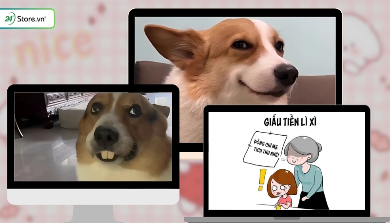 Hình nền hài hước cho máy tính