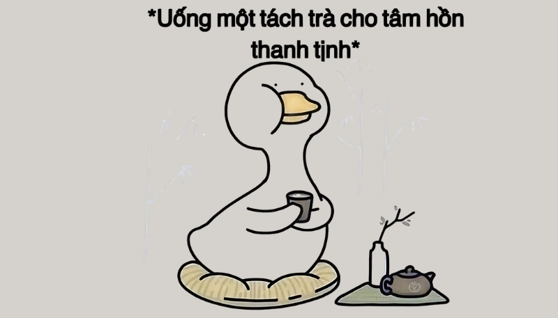 Hình nền meme hài hước cho điện thoại, ảnh chế viral