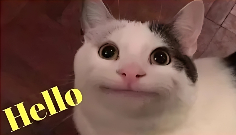 Hình nền meme hài hước cực chất, ảnh chế viral