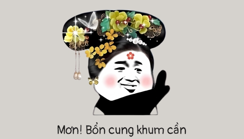 Hình nền trích dẫn hài hước cho máy tính