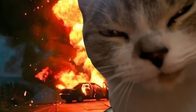 Bộ sưu tập hình nền hài hước cho máy tính