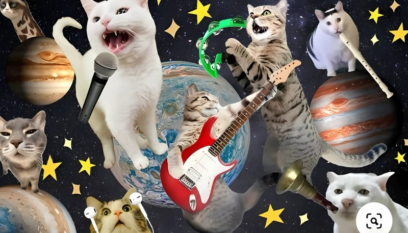 Hình nền hài hước chất cho laptop