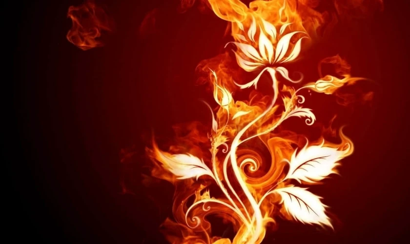 Hình nền laptop thu hút tài lộc cho người mệnh Hỏa