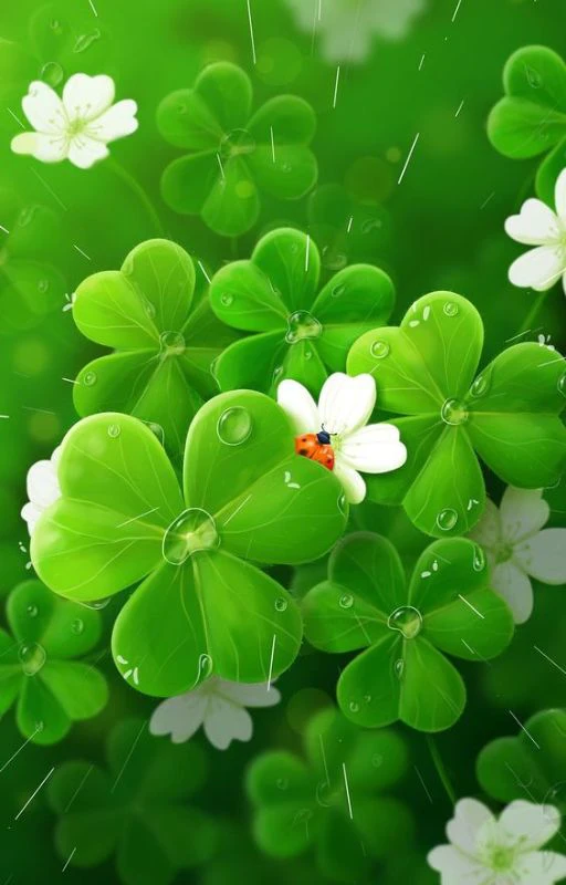 Wallpaper đem lại thuận lợi trong học tập cho điện thoại