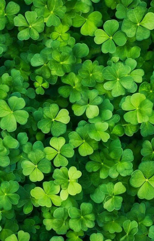 Wallpaper đem lại thuận lợi trong học tập cho smartphone