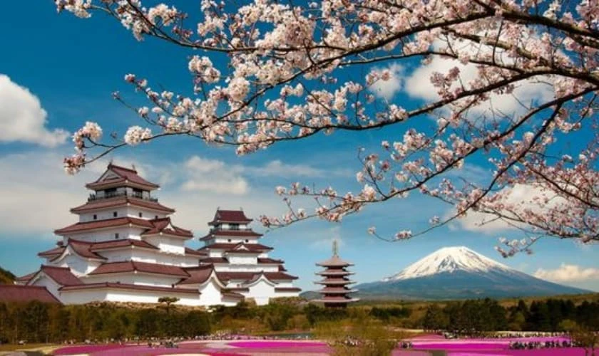 Hình nền máy tính cầu may cho người mệnh Mộc