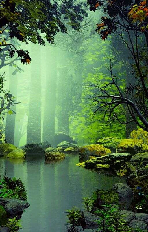 Ảnh trang trí cầu sức khỏe dồi dào cho smartphone