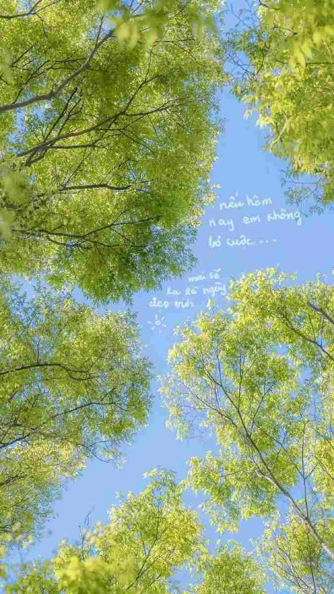 Hình nền iPhone 15 chủ đề thiên nhiên cực đẹp