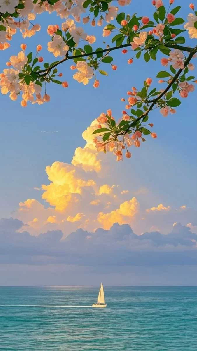 Hình nền biển xa xăm