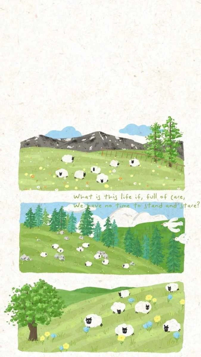 Hình nền iPhone 15 đàn cừu